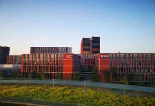 广东大颗粒过碳酸钠批发