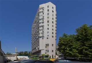 河南矮生草坪设计