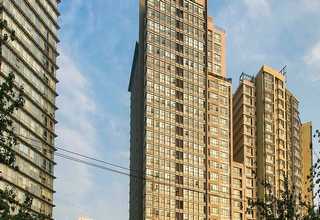 安徽孜然调味粉有什么特点